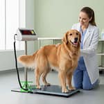 Micro VS1 Vet Scale
