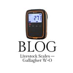 LIVESTOCK SCALE - Gallagher W-O