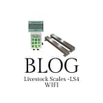 LIVESTOCK SCALE - LS4 Wifi