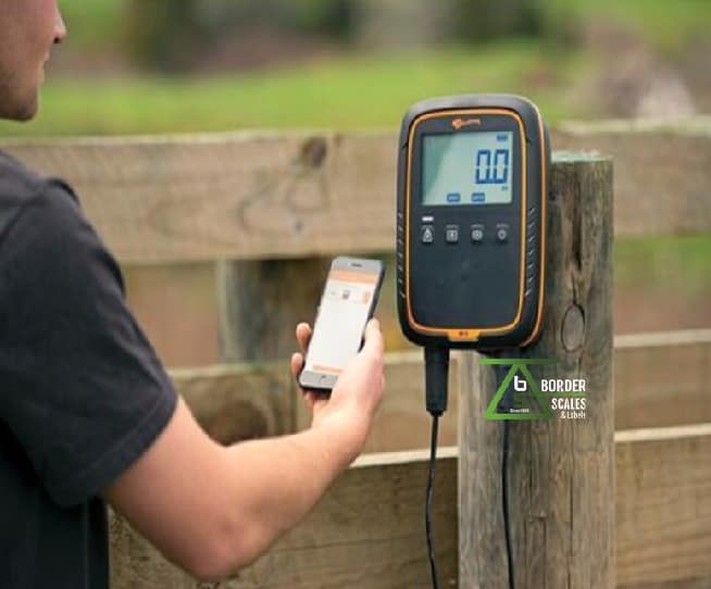 Gallagher w-o Livestock Scale