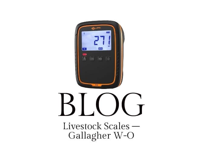LIVESTOCK SCALE - Gallagher W-O