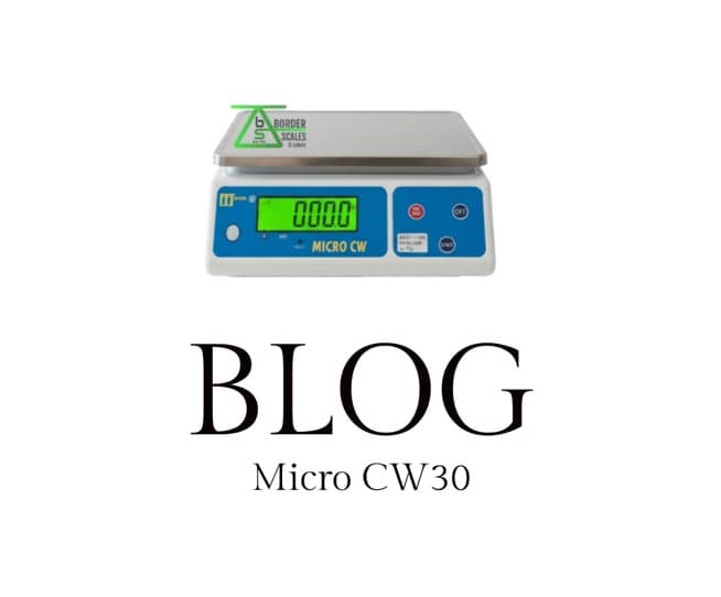 Portion Scales - Micro CW30